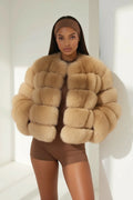 Cinnamon Coat